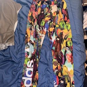 Adidas parrot leggings